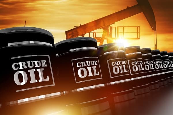 Global oil demand set for first annual decline since 2020, IEA says