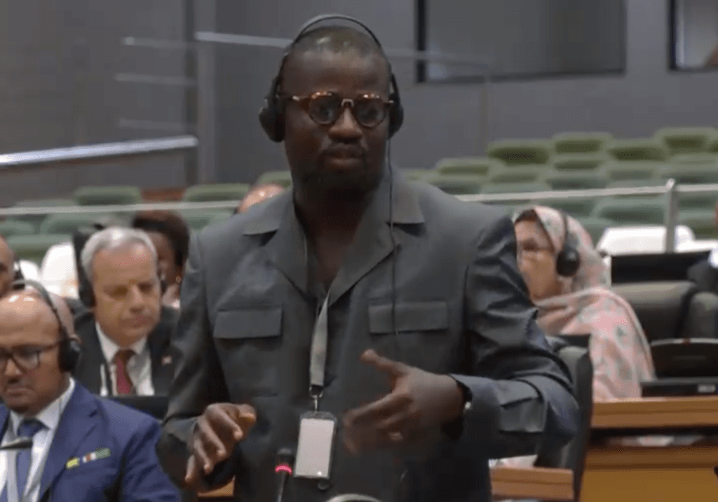 Annoh-Dompreh leads push for Africa’s first continental cancer law
