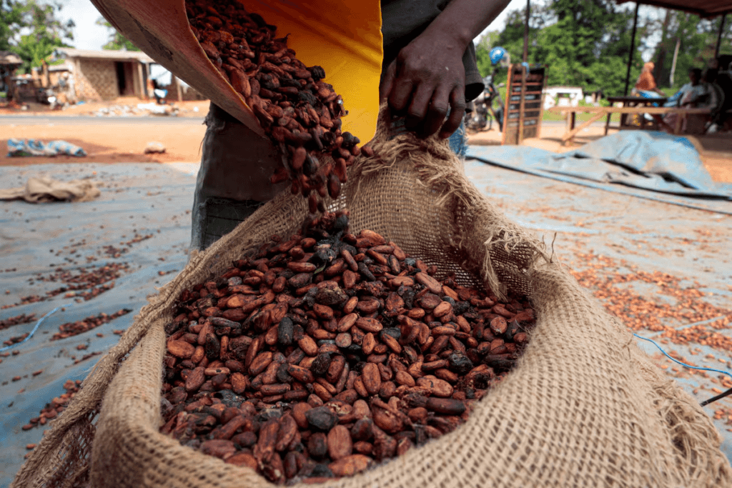 COCOBOD’s shift to local market financing is the right move – BoG