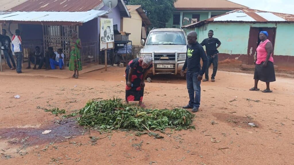 Eight officers interdicted as police investigate deadly Sayerano shooting
