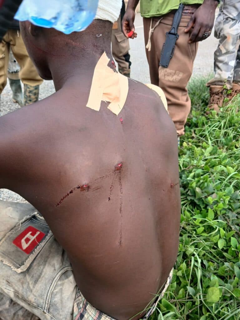 Forest guards shot by suspected illegal loggers while protecting plantation at Abesewa