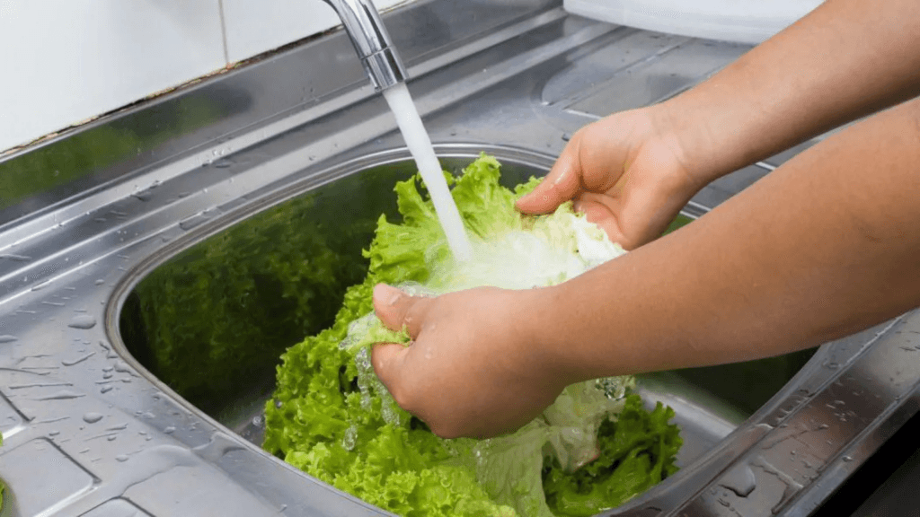 What to know about ‘explosive diarrhoea’ parasite outbreak in US