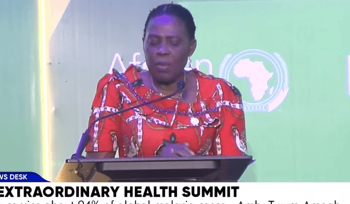 Africa needs diversified and sustainable health financing- AU Commissioner