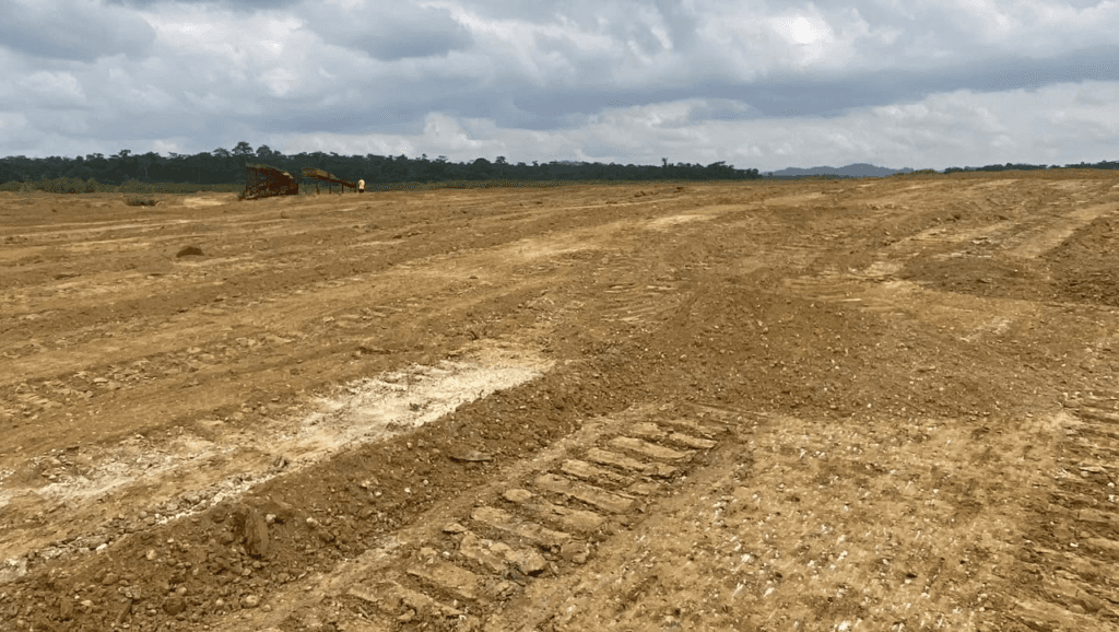 20 acres of illegal mining-degraded land reclaimed at Nweneso following National Security clampdown