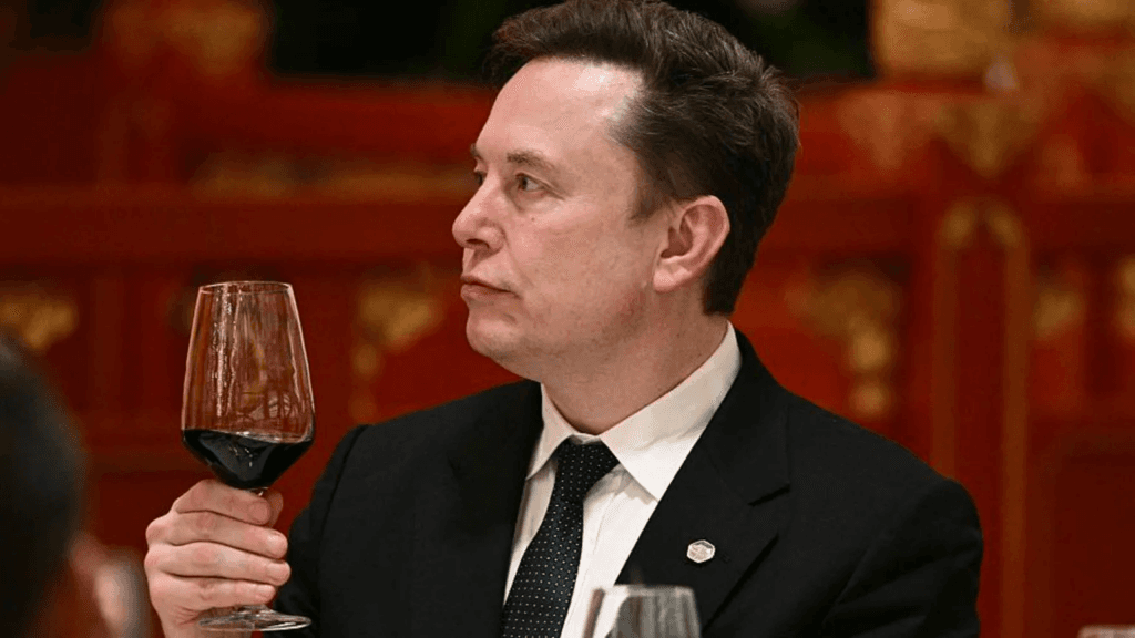 ‘Let’s enjoy the ride’ says Elon Musk, as AI fears mount