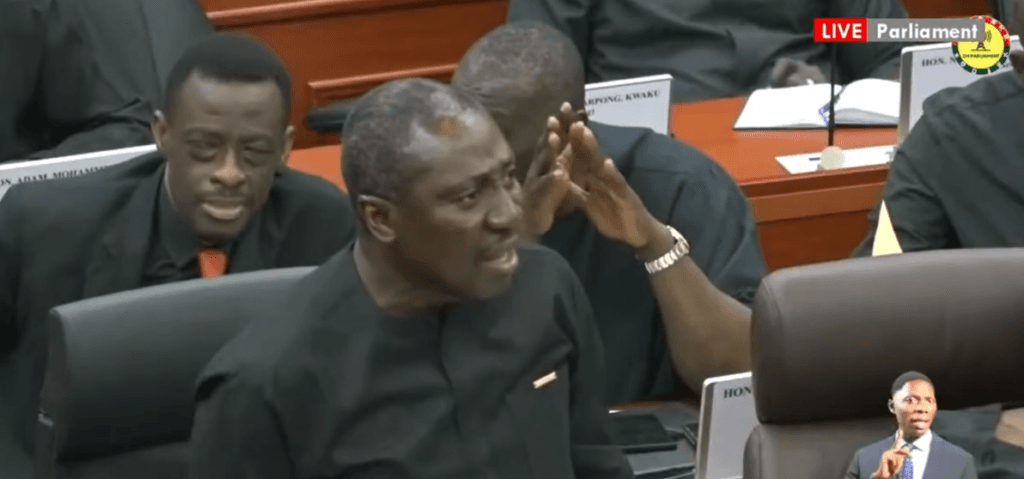 Imprison all NPP MPs, we will still hold you accountable – Afenyo-Markin to government