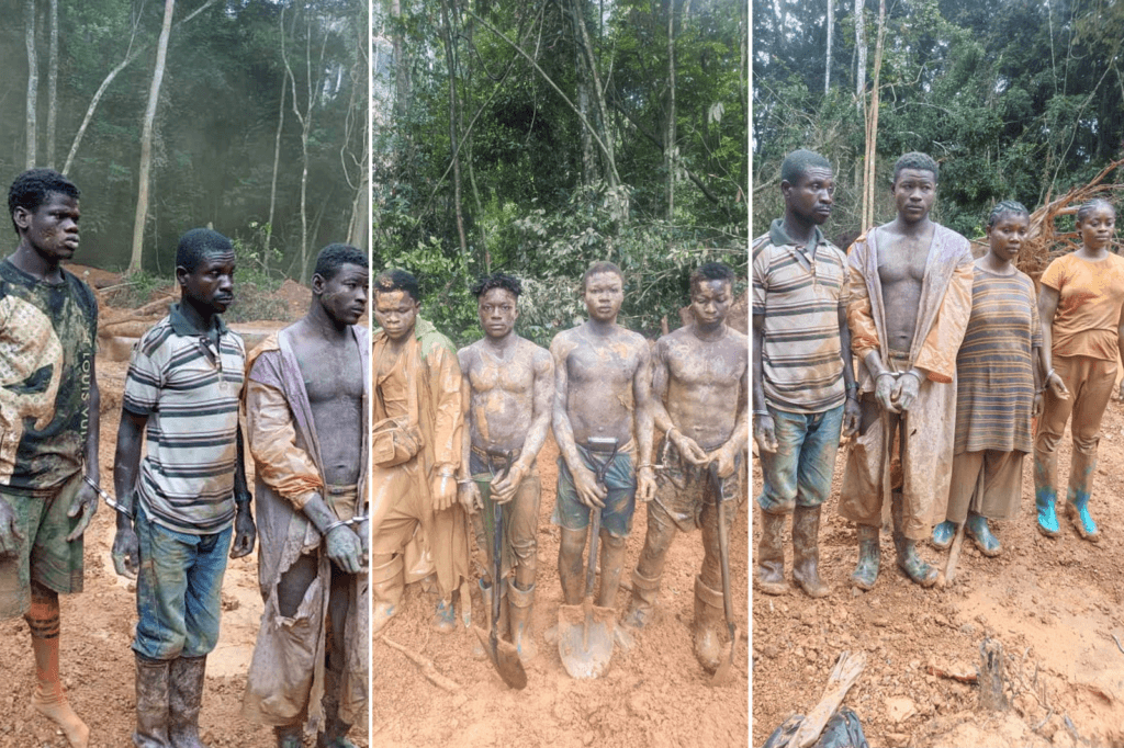 13 remanded as anti-galamsey operation nets 20 suspects in Cape Three Points Forest Reserve