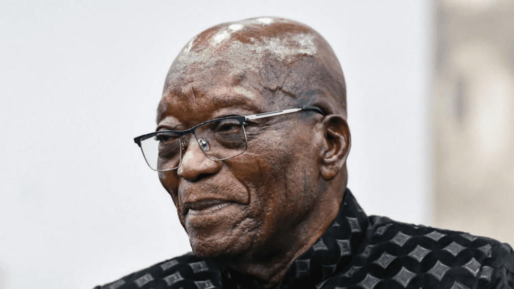 Zuma showing South Africa ‘middle finger’ by meeting Gupta brother – Minister
