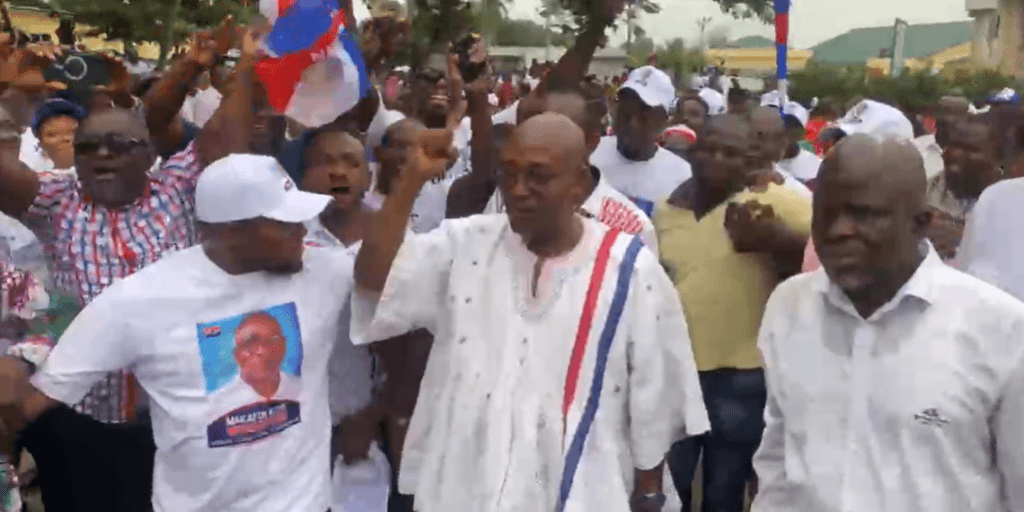 Makafui Woanyah retains NPP Volta Regional Chairmanship