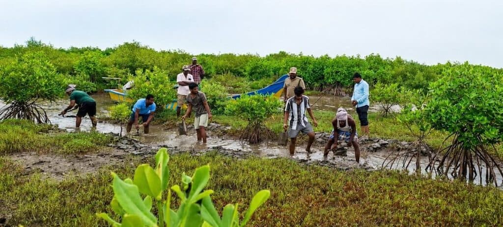 Africa faces growing threat from biodiversity loss, UN warns