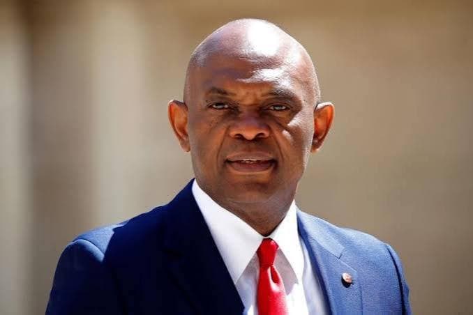 VIDEO: I don’t subscribe to Oyinbo life, Elumelu schools lady for calling him by first name