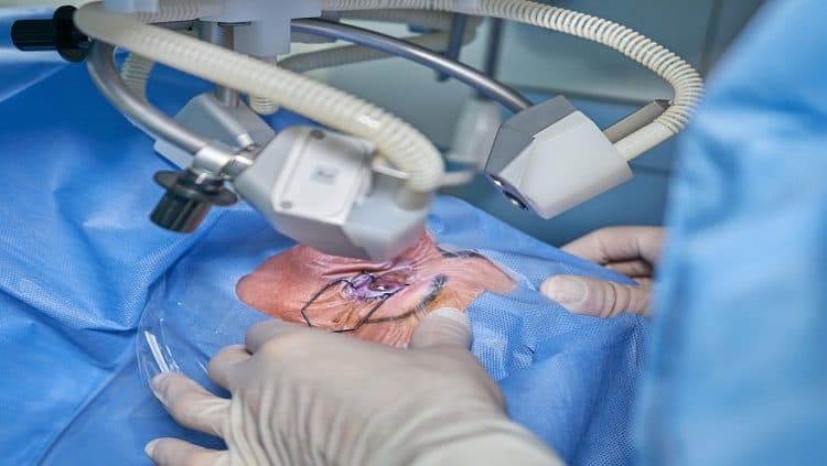 Private Bloemfontein hospital, FS Health Dept address surgery backlog