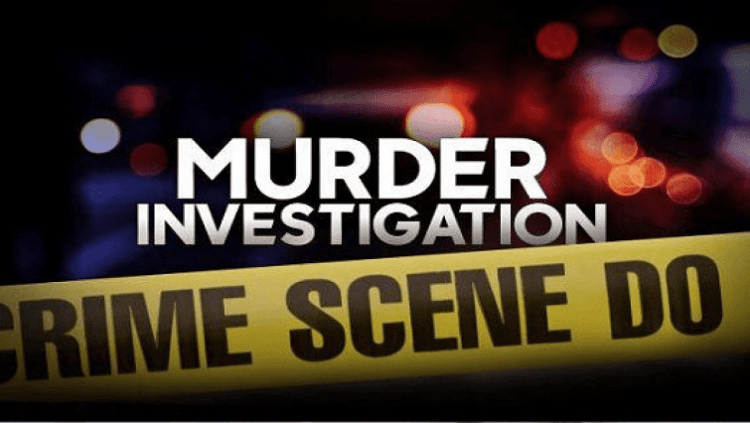 Police investigating murder of two males in Coega, Eastern Cape