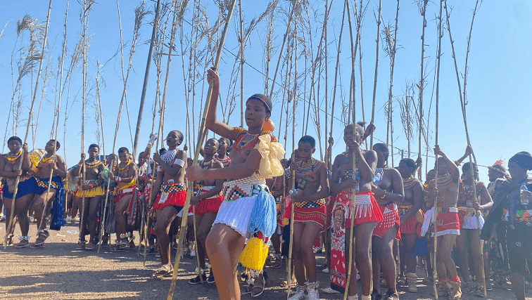 Final preparations for the Reed Dance under way