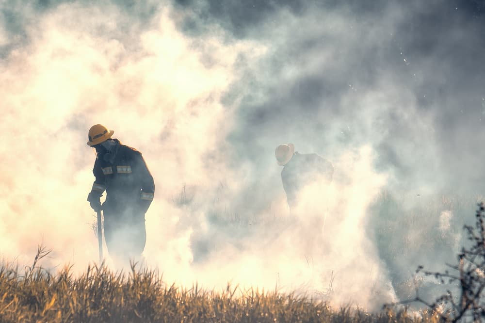 Fire destroys several vehicles in Bonella, KZN