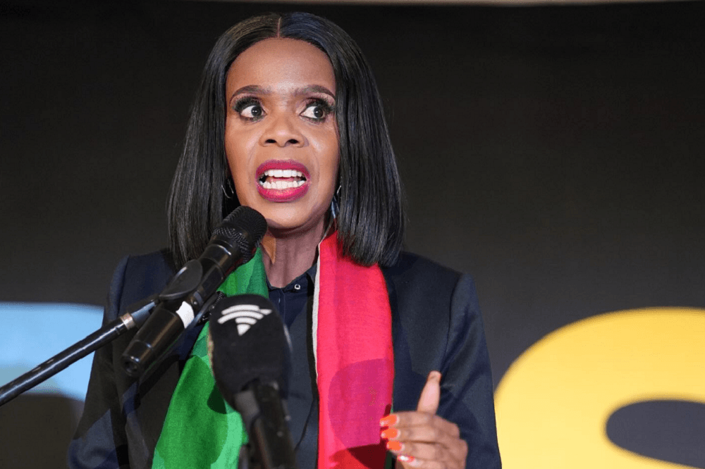 Rise Mzansi, GOOD party name Sarah Mabotsa Tshwane mayoral candidate