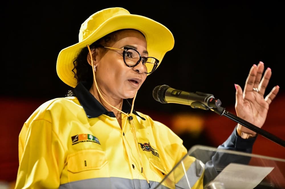 EFF blames ANC for MEC Makatong’s resignation in Northern Cape