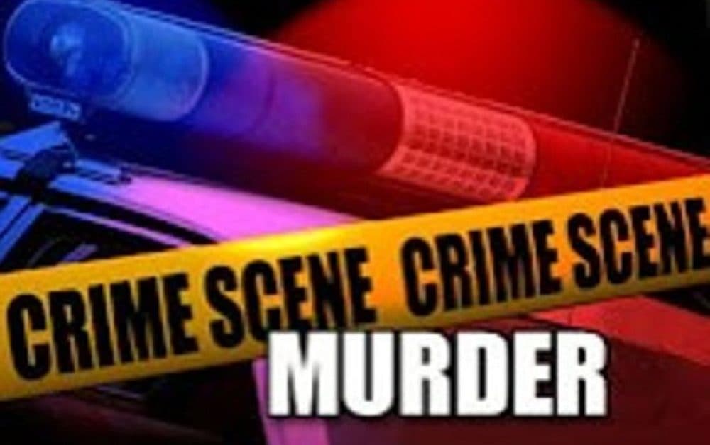 Double murder probe launched after two men killed in KwaZakele, EC