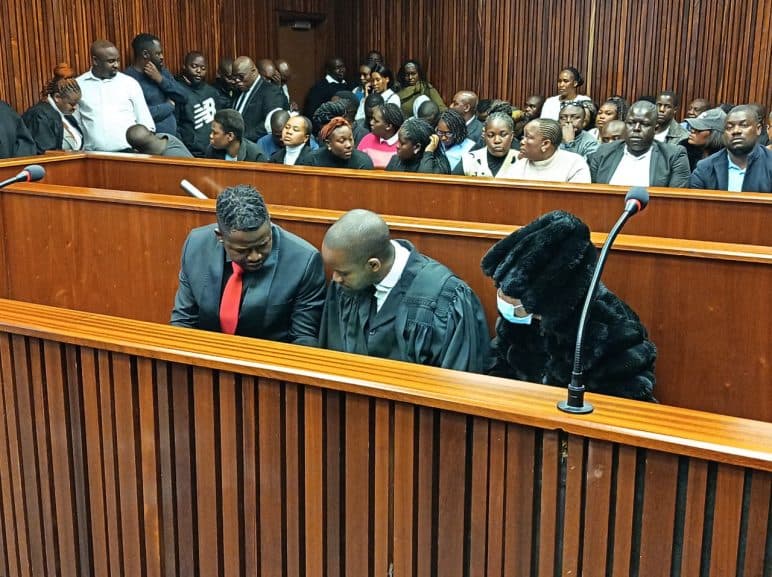 Lawyer accused in estate fraud tried to stop investigations: Witness