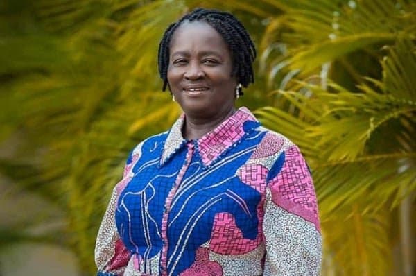 2028 flagbearership talk ‘a betrayal of the cause’ – Prof Jane Naana Opoku-Agyemang